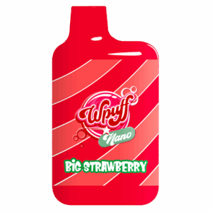 Wpuff Nano Big Strawberry - 600 puffs