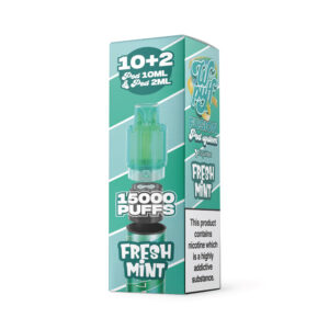 10 Pods  Fresh Mint - 15000 puffs